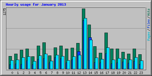 Hourly usage for January 2013