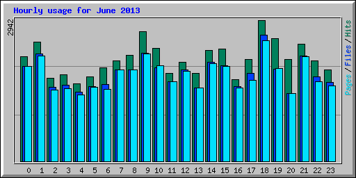 Hourly usage for June 2013