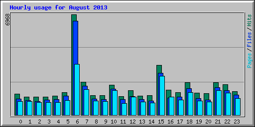 Hourly usage for August 2013