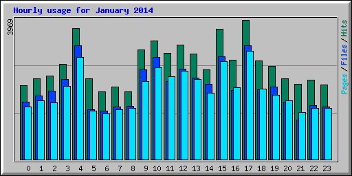 Hourly usage for January 2014