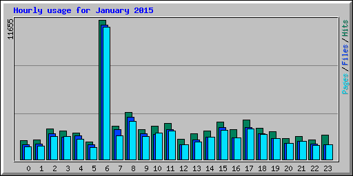 Hourly usage for January 2015