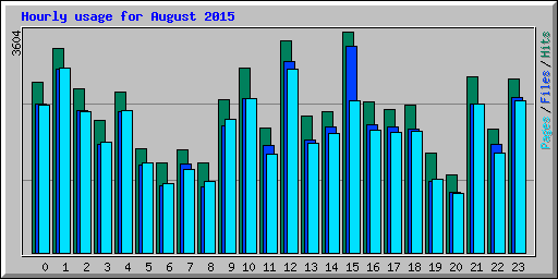 Hourly usage for August 2015