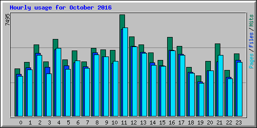 Hourly usage for October 2016