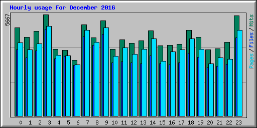 Hourly usage for December 2016