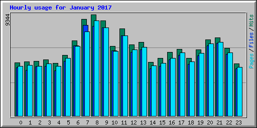 Hourly usage for January 2017