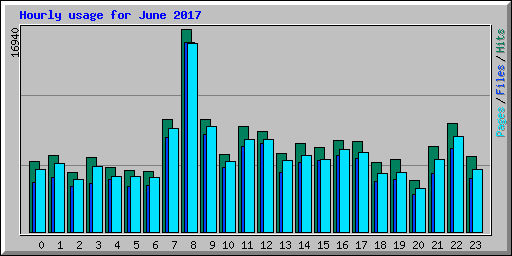 Hourly usage for June 2017