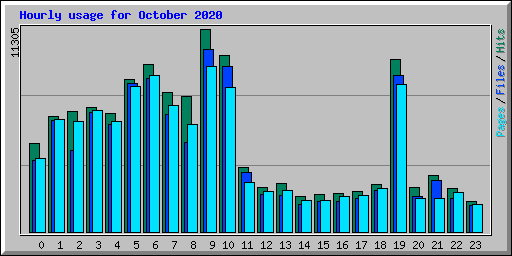 Hourly usage for October 2020