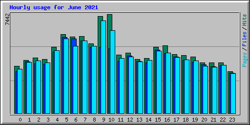 Hourly usage for June 2021