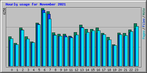 Hourly usage for November 2021