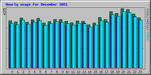 Hourly usage for December 2021