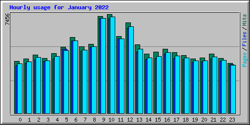 Hourly usage for January 2022