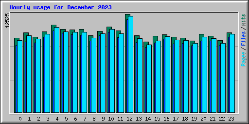 Hourly usage for December 2023