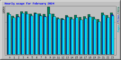 Hourly usage for February 2024