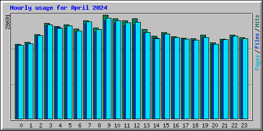 Hourly usage for April 2024