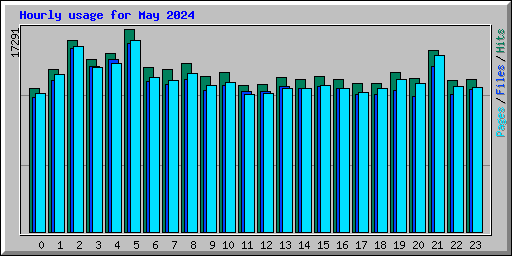 Hourly usage for May 2024