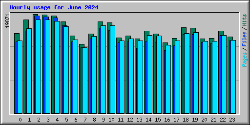 Hourly usage for June 2024