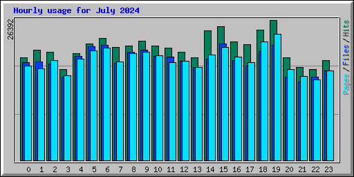 Hourly usage for July 2024