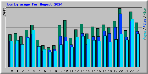 Hourly usage for August 2024