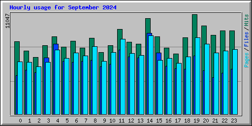 Hourly usage for September 2024