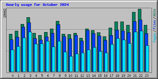 Hourly usage for October 2024