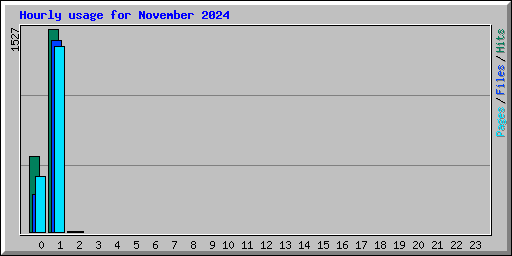 Hourly usage for November 2024