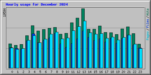 Hourly usage for December 2024