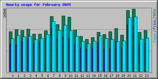 Hourly usage for February 2025
