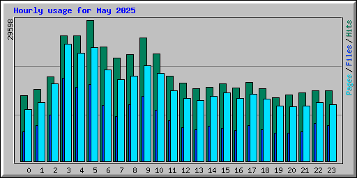 Hourly usage for May 2025