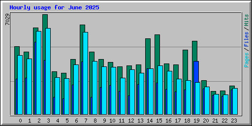 Hourly usage for June 2025