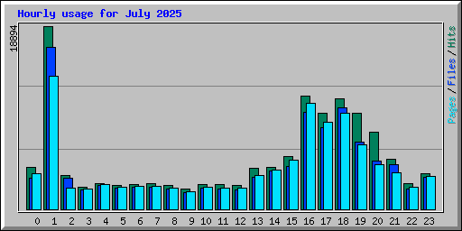 Hourly usage for July 2025