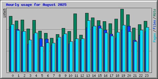 Hourly usage for August 2025